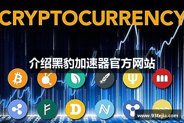 介绍黑豹加速器官方网站
